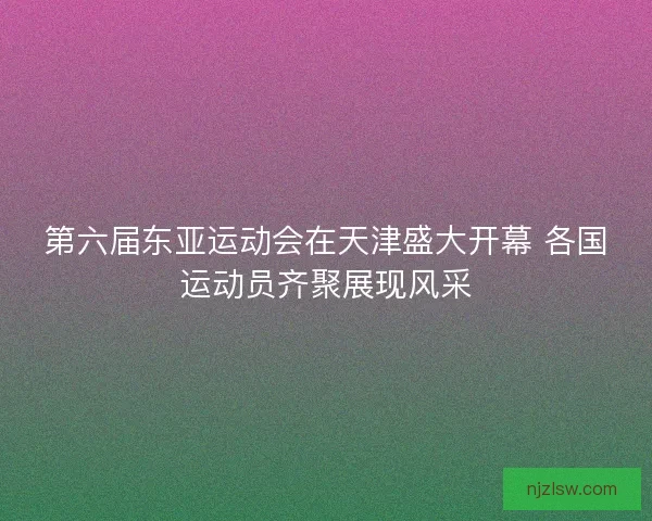 第六届东亚运动会在天津盛大开幕 各国运动员齐聚展现风采