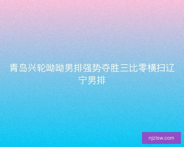 青岛兴轮呦呦男排强势夺胜三比零横扫辽宁男排 青岛兴轮呦呦男排强势夺胜三比零横扫辽宁男排