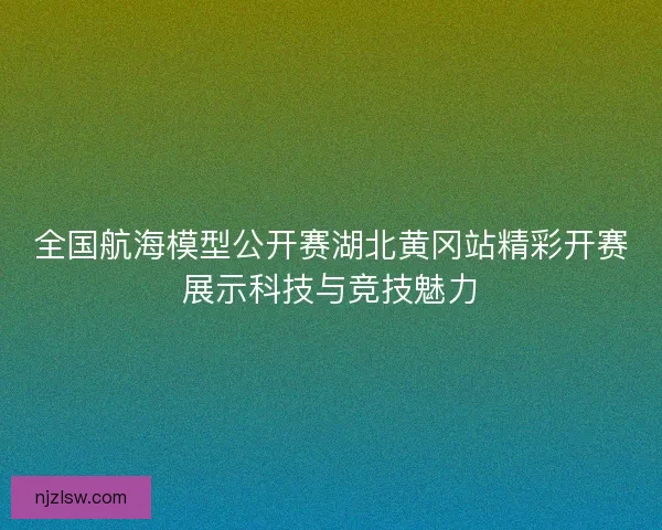 全国航海模型公开赛湖北黄冈站精彩开赛展示科技与竞技魅力